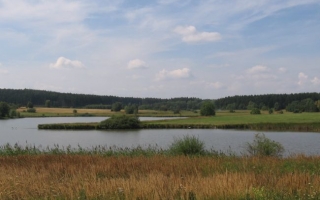 Krajinou rybníků - Z Osové Bítýšky na sever a zpět