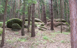 Zřícenina hradu Templštejn