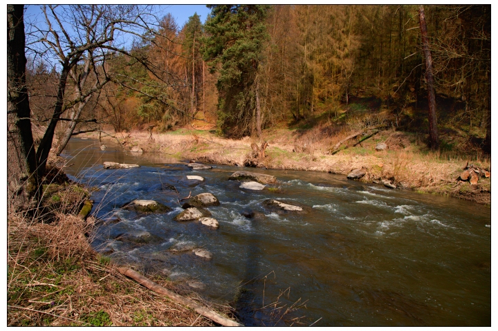 4. Ryby řeky Oslavy