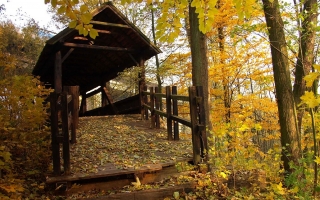 Zámecký park