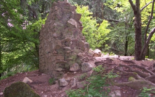 Zřícenina hradu Templštejn