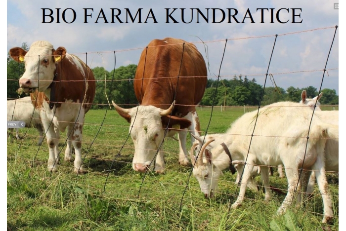 Farma Kundratice