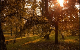 Zámecký park