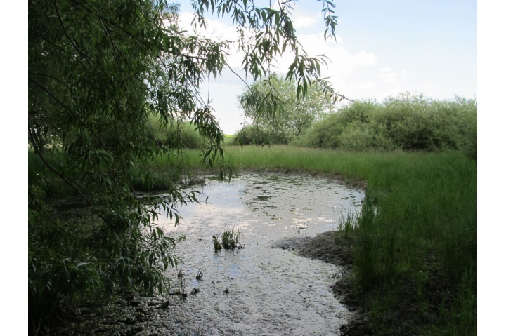 Pod Brejlovským