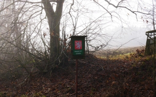 Stromořadí u Bažantnice