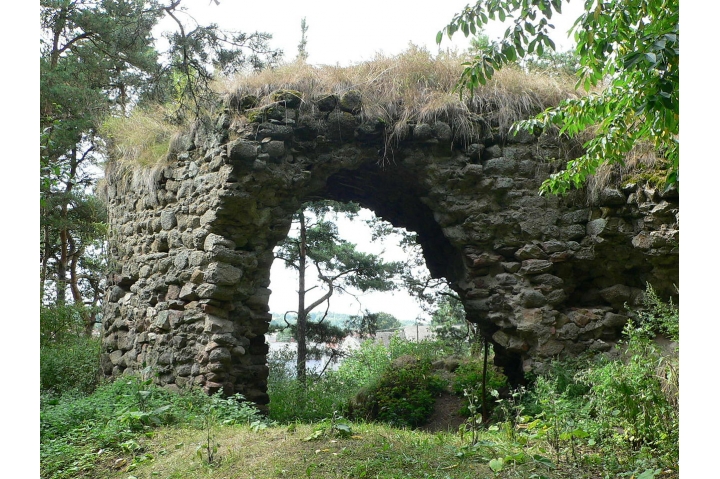 Zřícenina Tasovský hrádek