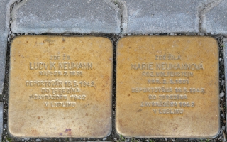 Rodina Wolfensteinova a Neumannova