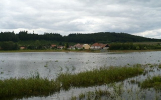 Krajinou rybníků - Z Osové Bítýšky na sever a zpět