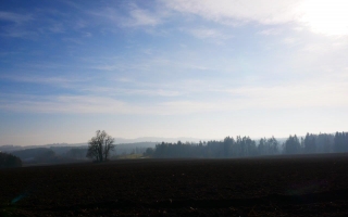 Lípy u Rousměrova