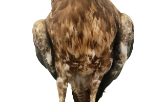 Přírodovědné sbírky