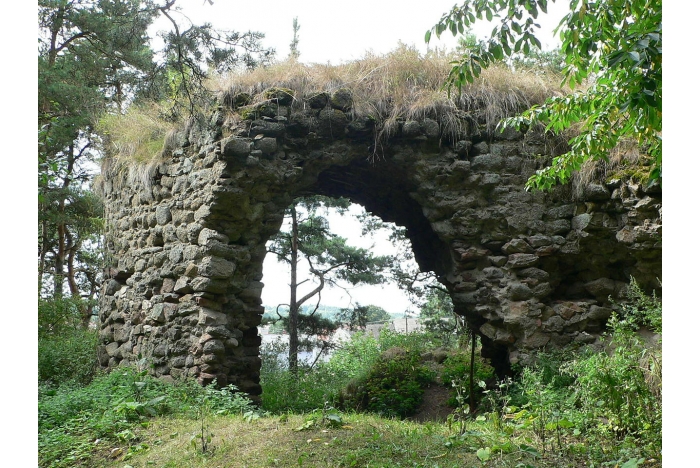 Zřícenina Tasovský hrádek