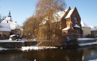 Nová synagoga