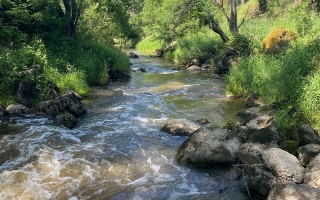 Přírodní park Balinské údolí