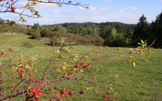 Přírodní park Balinské údolí