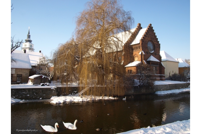Nová synagoga