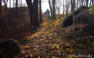 Zámecký park