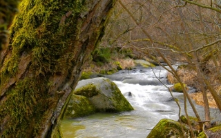 Přírodní park Balinské údolí