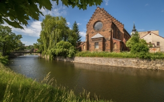 Nová synagoga