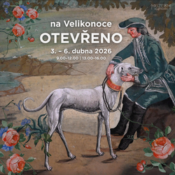 Sn&iacute;mek obrazovky_2026-03-27_092310