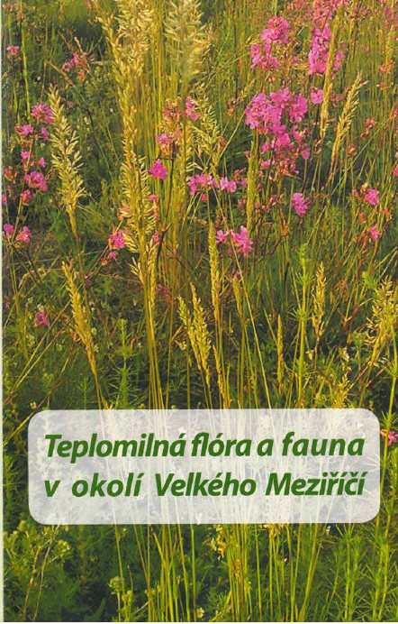 kam-na-velkomeziricsku